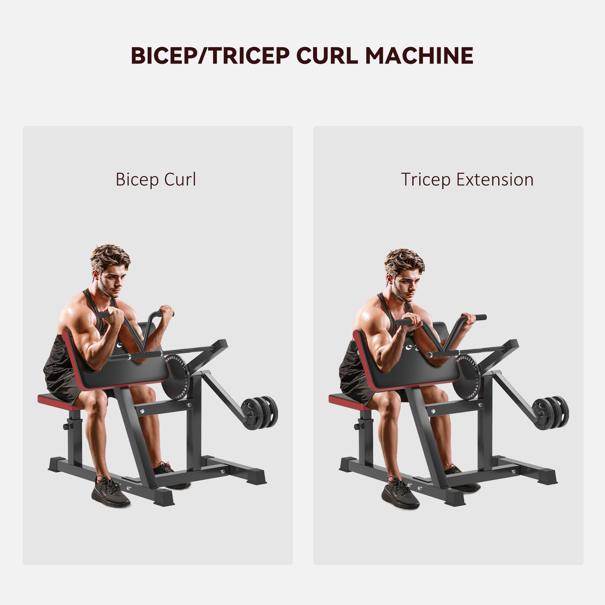 2-in-1 Bicep Preacher Curl Bench — Tricep Extension & Home Gym Station