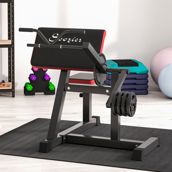 2-in-1 Bicep Preacher Curl Bench — Tricep Extension & Home Gym Station