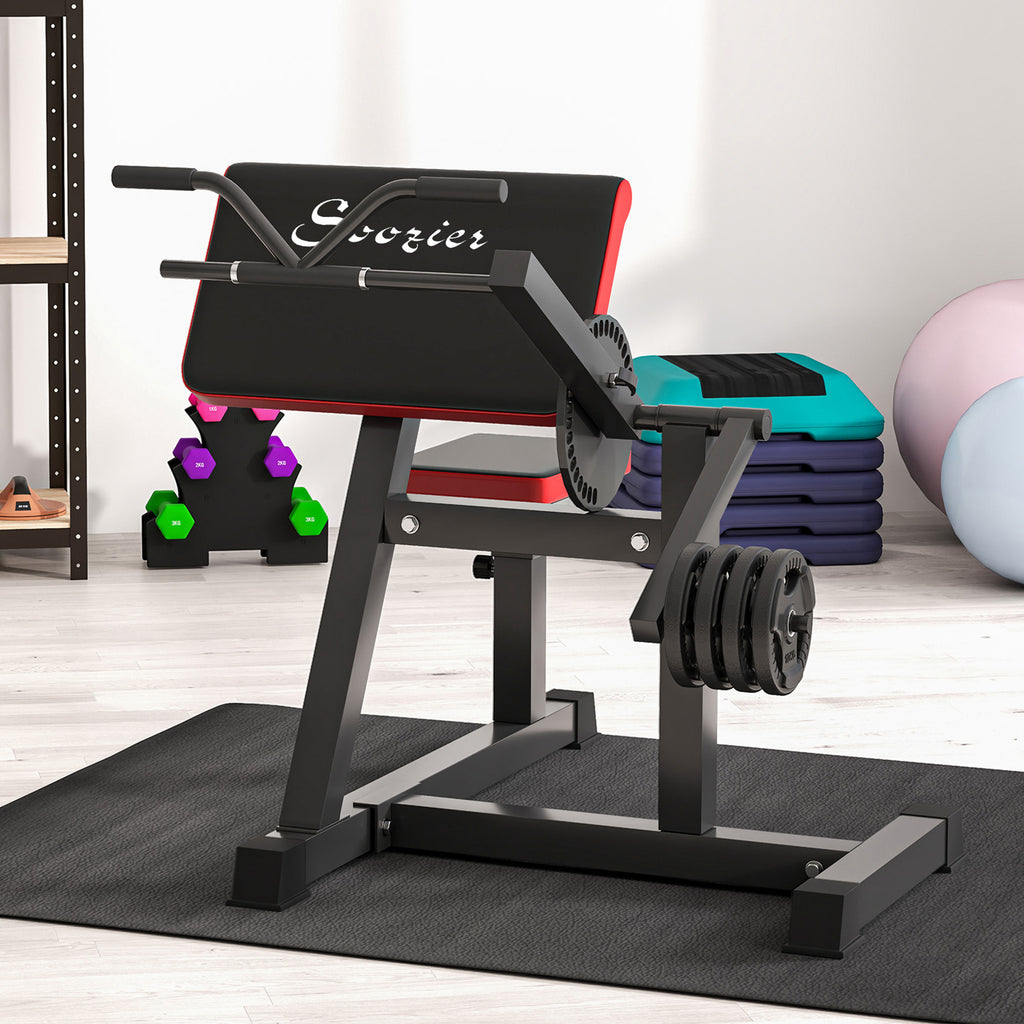2-in-1 Bicep Preacher Curl Bench — Tricep Extension & Home Gym Station